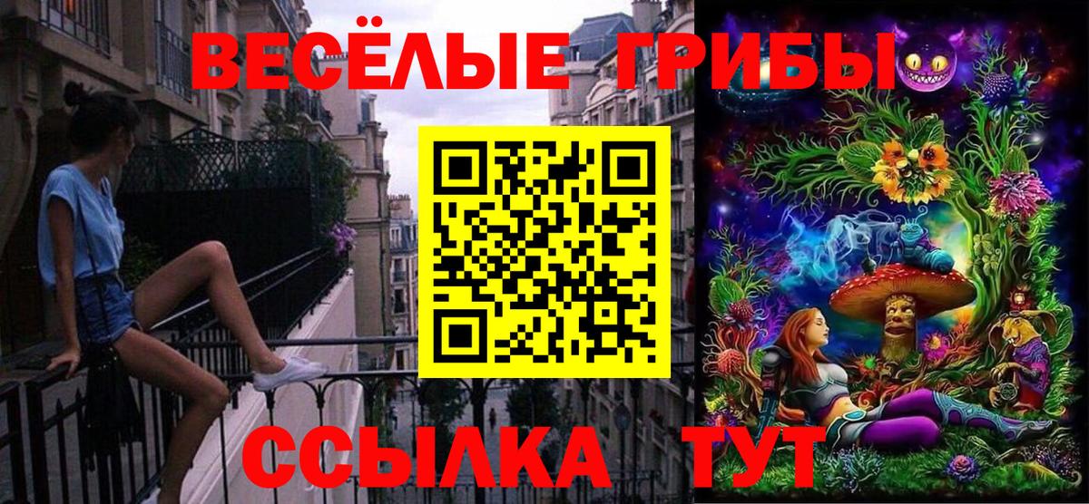 Зеленодольск  Галлюциногенные грибы ЛСД  Галлюциногенные грибы мицелий  Вход с VPN 