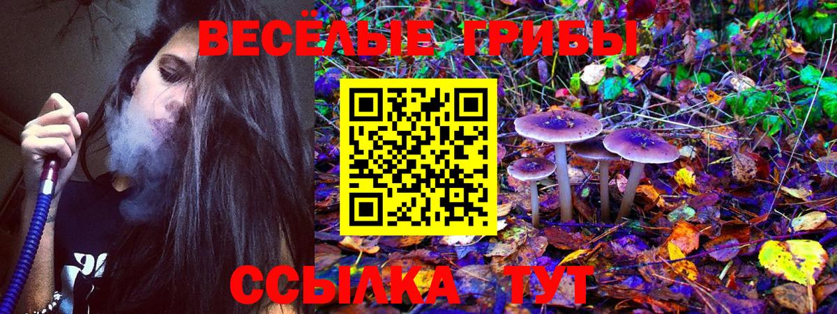 Галлюциногенные грибы Magic Shrooms Зеленодольск